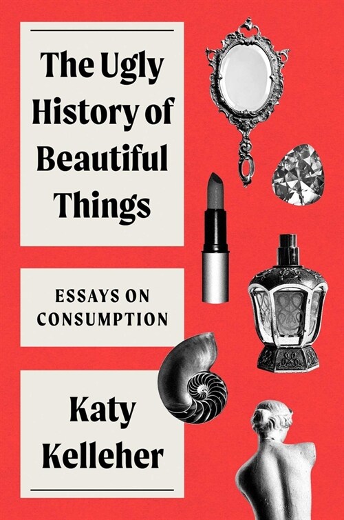 The Ugly History of Beautiful Things: Essays on Desire and Consumption (Hardcover)