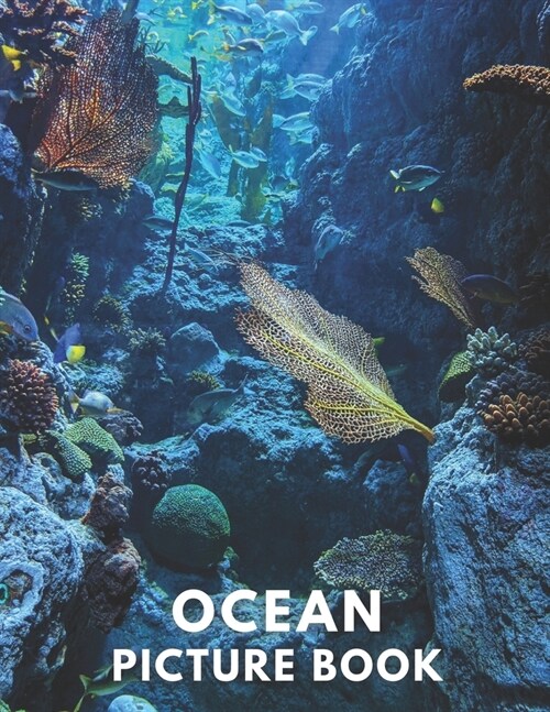 Ocean Picture Book for Adults: 40 High Quality Images of the Ocean From all Around The World (Paperback)