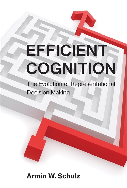 Efficient Cognition: The Evolution of Representational Decision Making (Paperback)