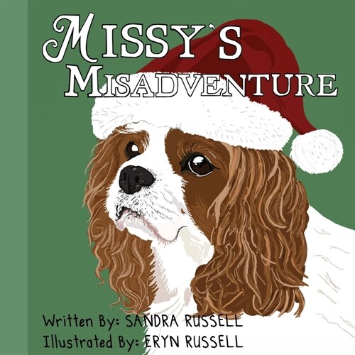 Missys Misadventure (Paperback)