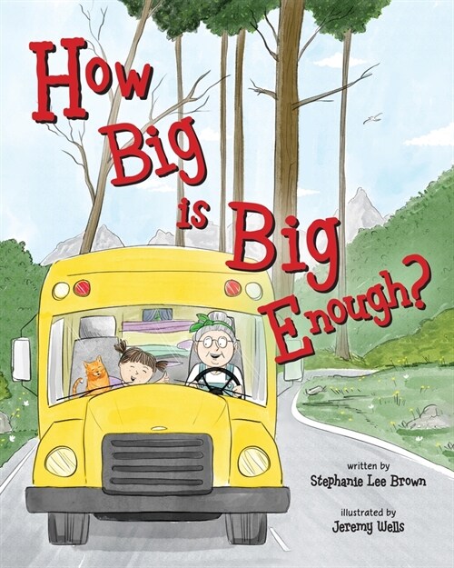 How Big is Big Enough? (Paperback)