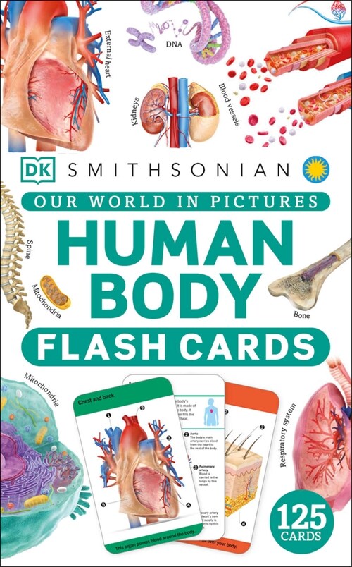 Our World in Pictures Human Body Flash Cards (Other)