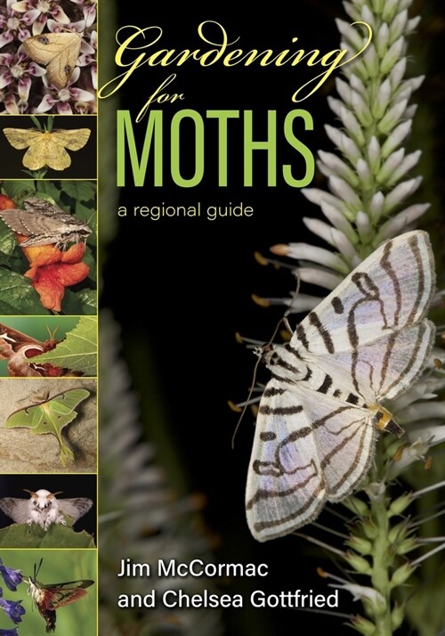 Gardening for Moths: A Regional Guide (Paperback)