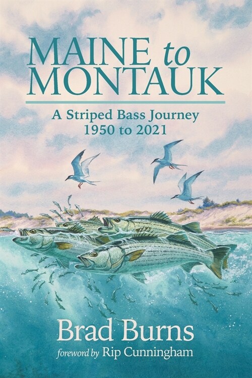 Maine to Montauk: A Striped Bass Journey 1950 to 2021 (Paperback)