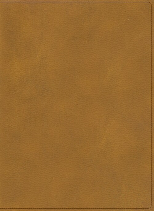 Rvr 1960 Biblia Ilustrada de la Tierra Santa, Caf?S?il Piel (Imitation Leather)