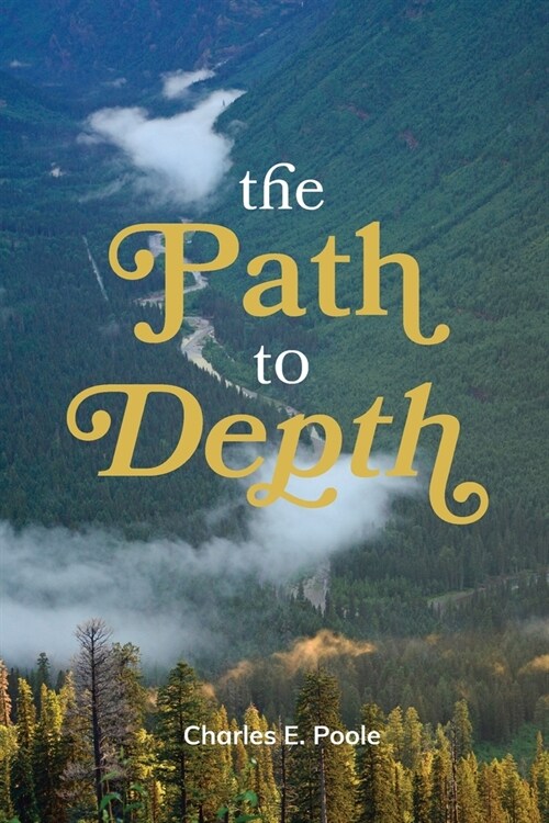 The Path to Depth (Paperback)