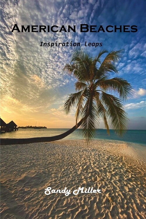 American Beaches: Inspiration leaps (Paperback)