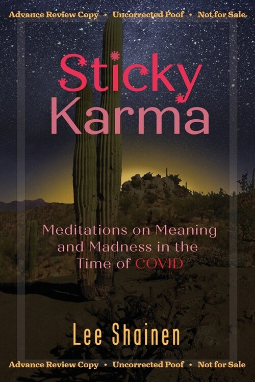 Sticky Karma: Meditations on Meaning and Madness in the Time of COVID (Paperback)