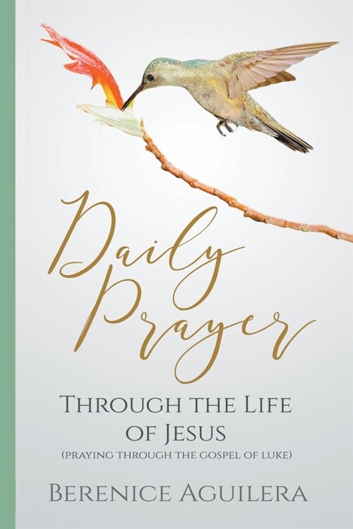 Daily Prayer through the Life of Jesus (Praying through the Gospel of Luke) (Paperback)