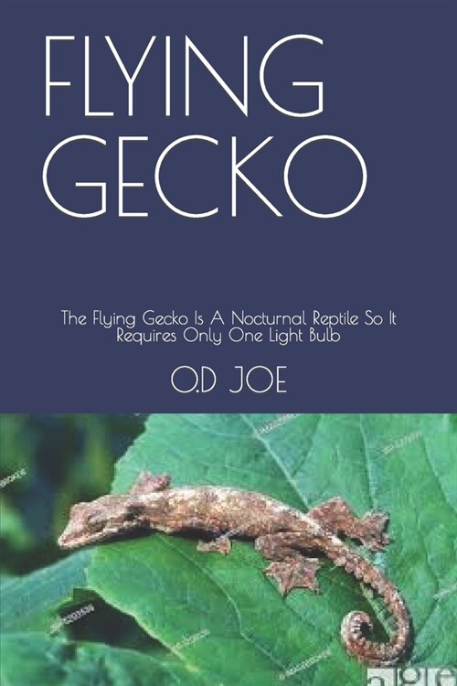 Flying Gecko: The Flying Gecko Is A Nocturnal Reptile So It Requires Only One Light Bulb (Paperback)