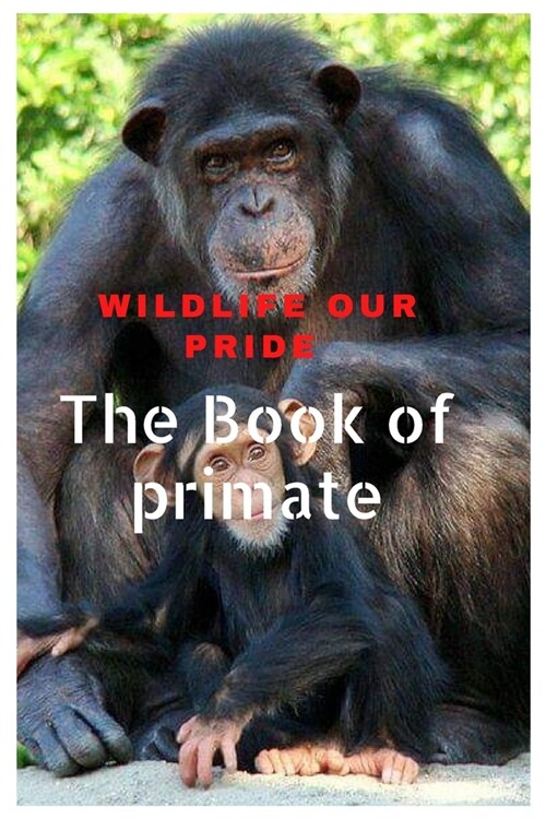 Wildlife Our Pride: The Book of primates (Paperback)