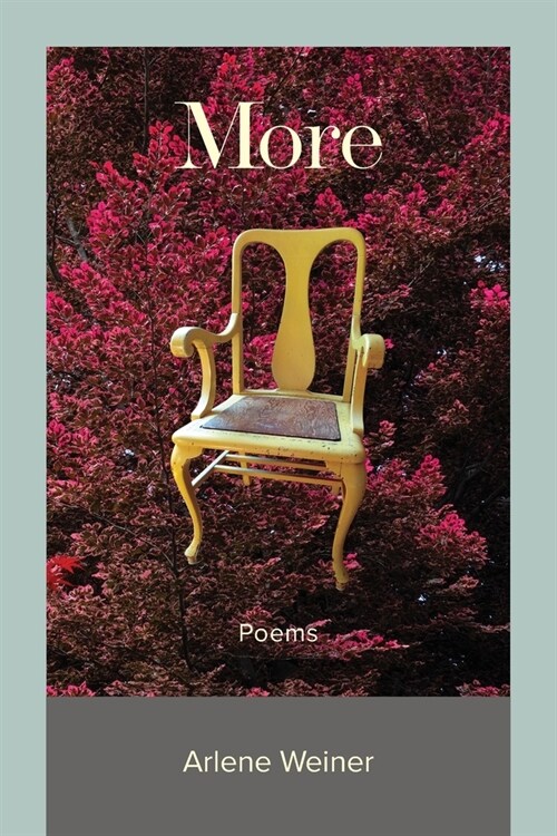 More (Paperback)