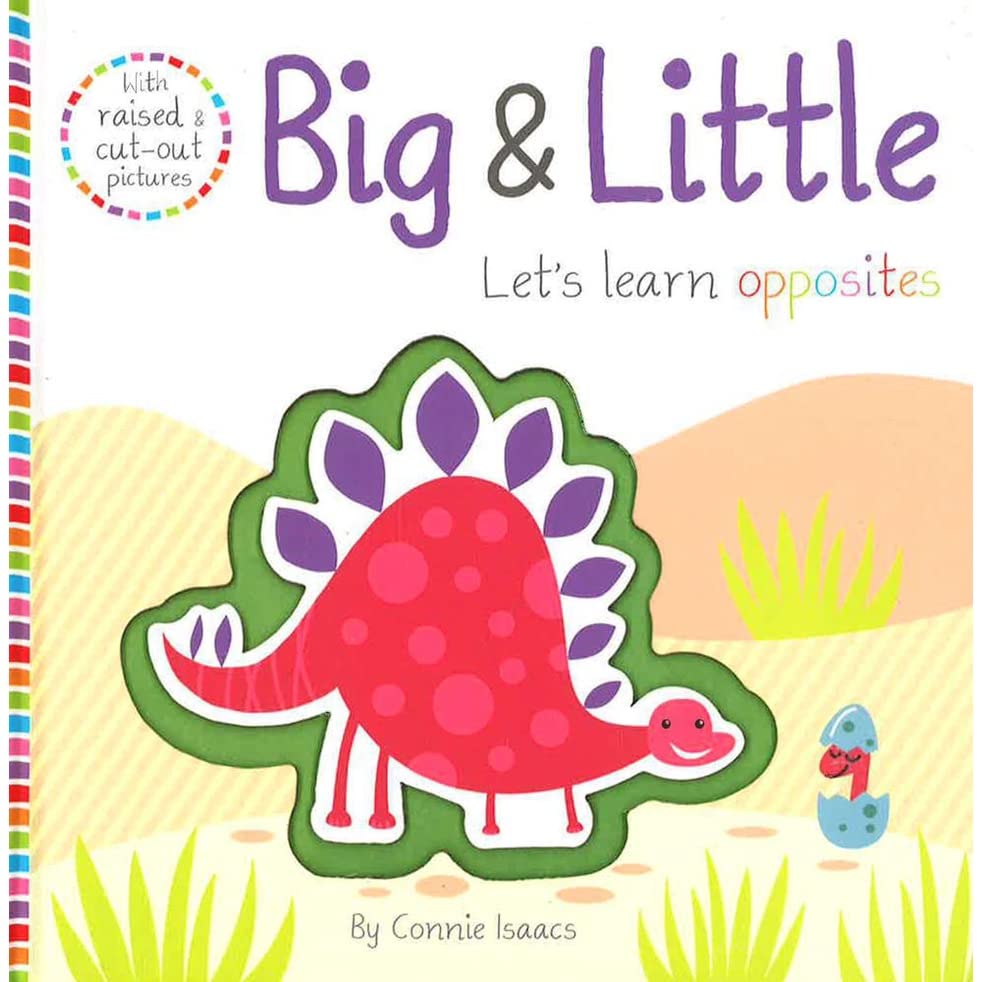 Lets Learn! : Big & Little (Board Book)