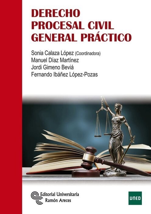 DERECHO PROCESAL CIVIL GENERAL PRACTICO (Paperback)