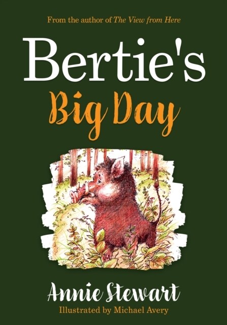 Berties Big Day (Paperback)