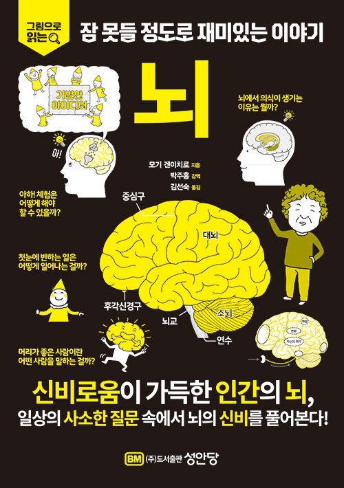 [중고] 뇌