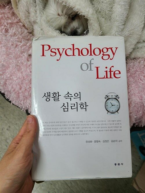 [중고] 생활속의 심리학