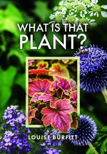 What Is That Plant? (Hardcover)