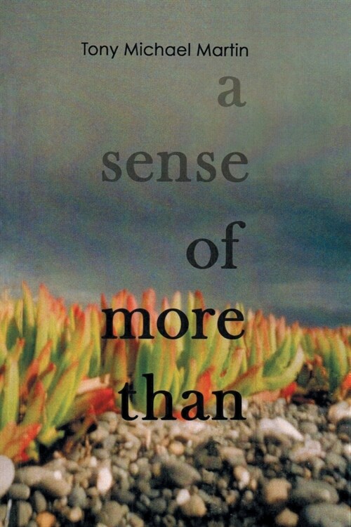 A Sense of More Than (Paperback)