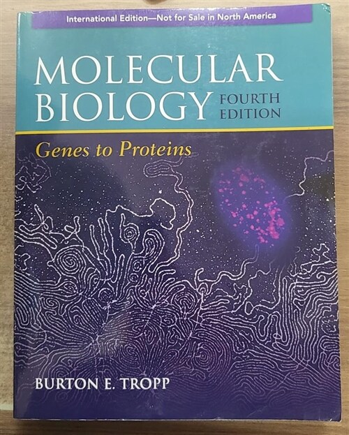 [중고] Molecular Biology: Genes to Proteins (Paperback)