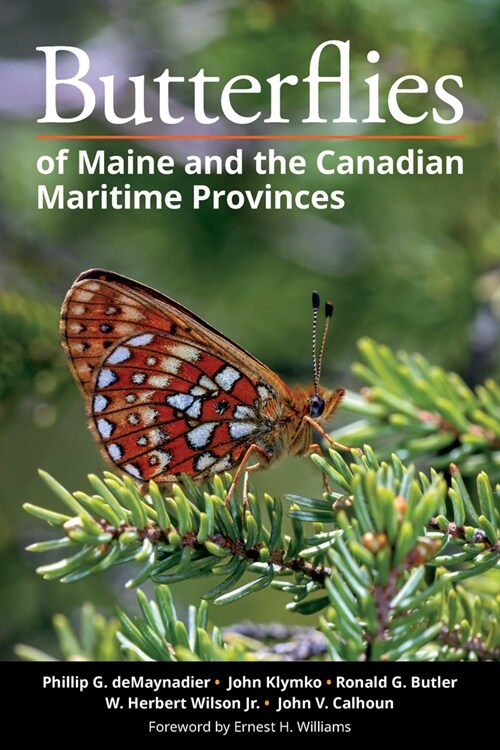 Butterflies of Maine and the Canadian Maritime Provinces (Paperback)