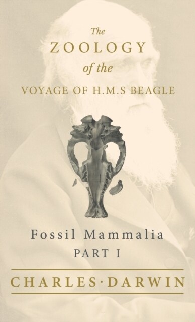 Fossil Mammalia - Part I - The Zoology of the Voyage of H.M.S Beagle (Hardcover)