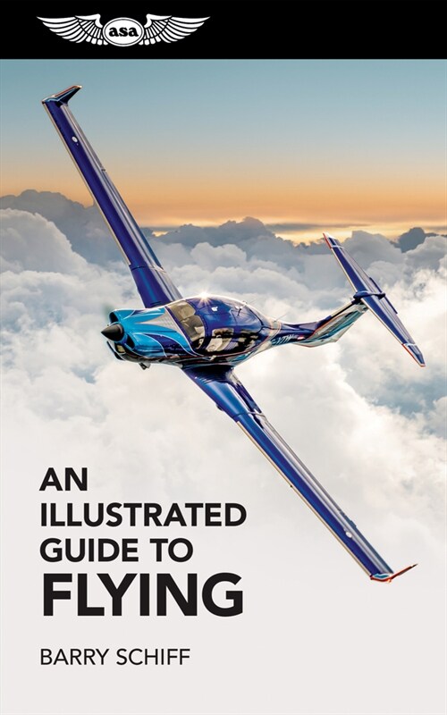 An Illustrated Guide to Flying (Paperback)