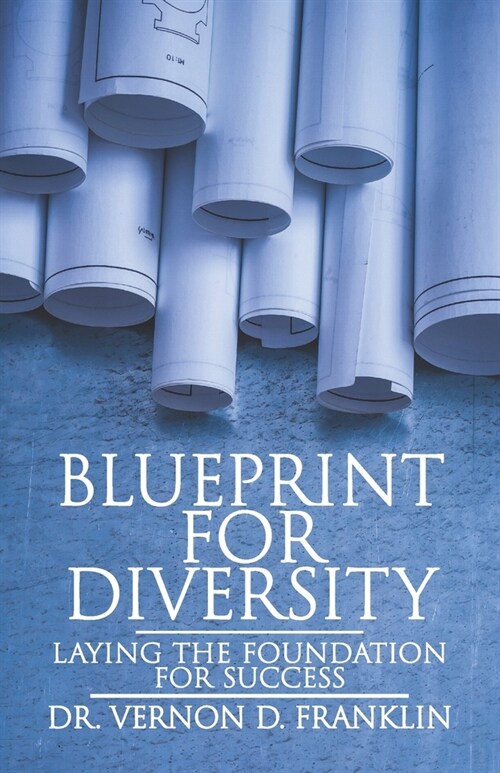 Blueprint for Diversity: Laying the Foundation for Success (Paperback)