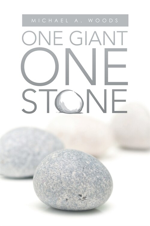 One Giant One Stone (Paperback)