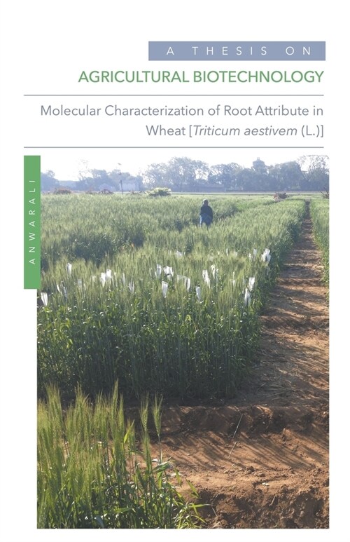 Agricultural Biotechnology: Molecular Characterization of Root Attribute in Wheat [Triticum aestivem (L.)] (Paperback)