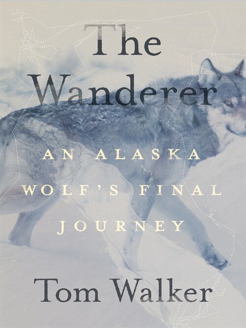 The Wanderer: An Alaska Wolfs Final Journey (Paperback)