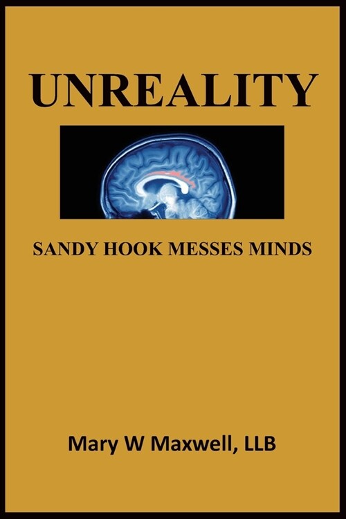 Unreality: Sandy Hook Messes Minds (Paperback)