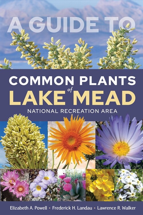 A Guide to Common Plants of Lake Mead National Recreation Area (Paperback)