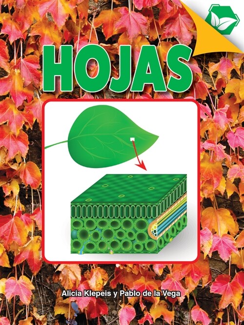 Hojas: Leaves (Paperback)