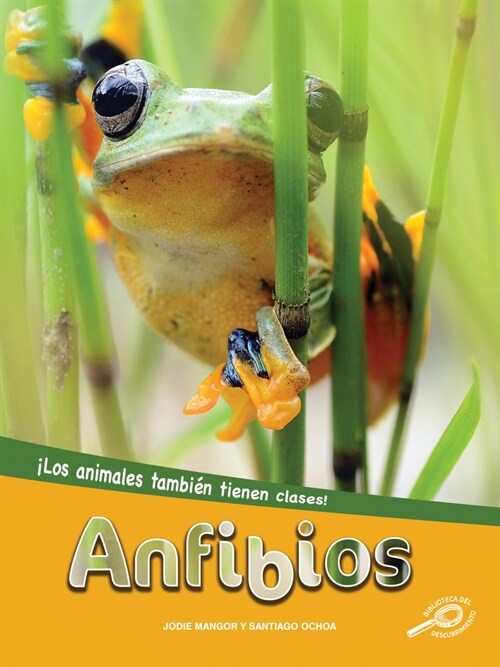 Anfibios: Amphibians (Paperback)