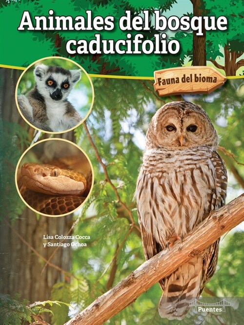Animales del Bosque Caducifolio: Deciduous Forest Animals (Paperback)