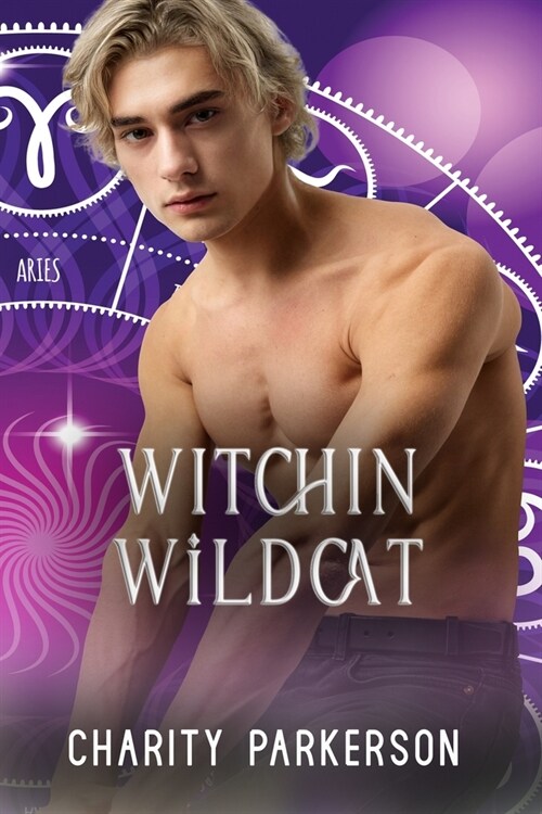 Witchin Wildcat (Paperback)