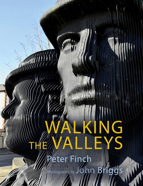 Walking the Valleys (Paperback)