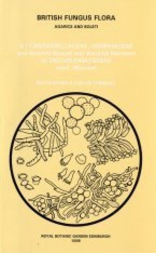 British Fungus Flora: Agarics and Boleti 8: Cantharellaceae, Gomphaceae and Amyloid-Spored and Xeruloid Members of Tricholomataceae ( Excl. Mycenae) (Paperback)