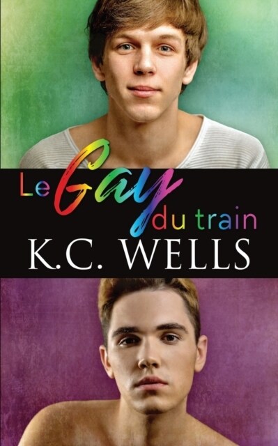 Le gay du train (Paperback)