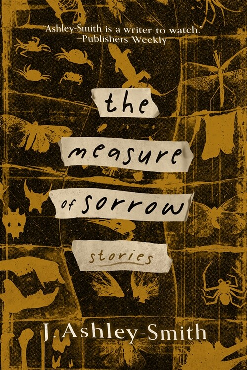 The Measure of Sorrow: Stories (Paperback)