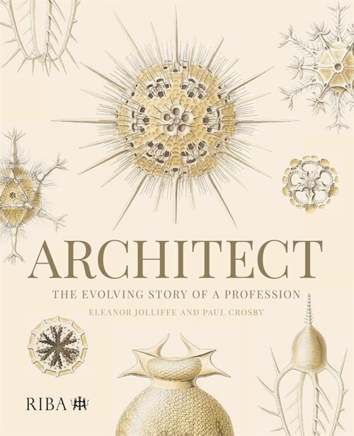 Architect: The Evolving Story of a Profession (Paperback)