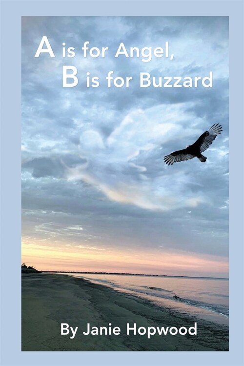 A is for Angel, B is for Buzzard (Paperback)