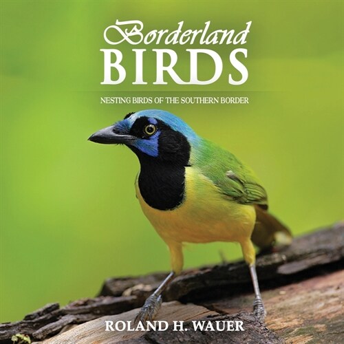 Borderland Birds: Nesting Birds of the Southern Border (Paperback)