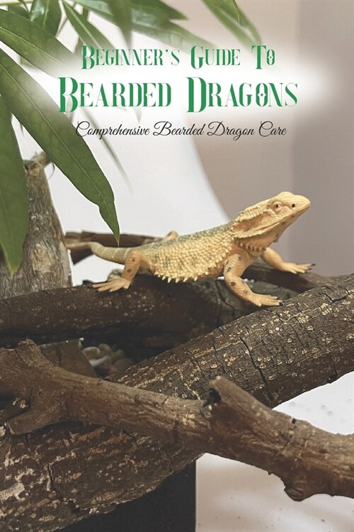 Beginners Guide To Bearded Dragons: Comprehensive Bearded Dragon Care: Black and White (Paperback)