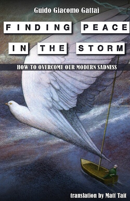 Finding Peace in the Storm: How to Overcome Our Modern Sadness (Paperback)