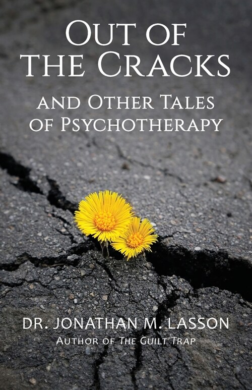 Out of the Cracks and Other Tales of Psychotherapy (Paperback)