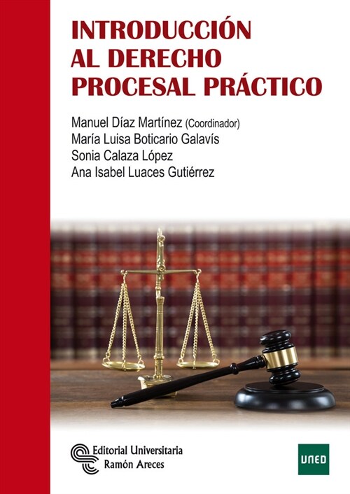 INTRODUCCION AL DERECHO PROCESAL PRACTICO (Paperback)