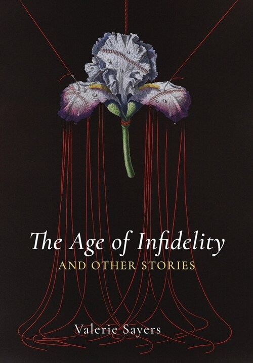 Age of Infidelity and Other Stories (Hardcover)