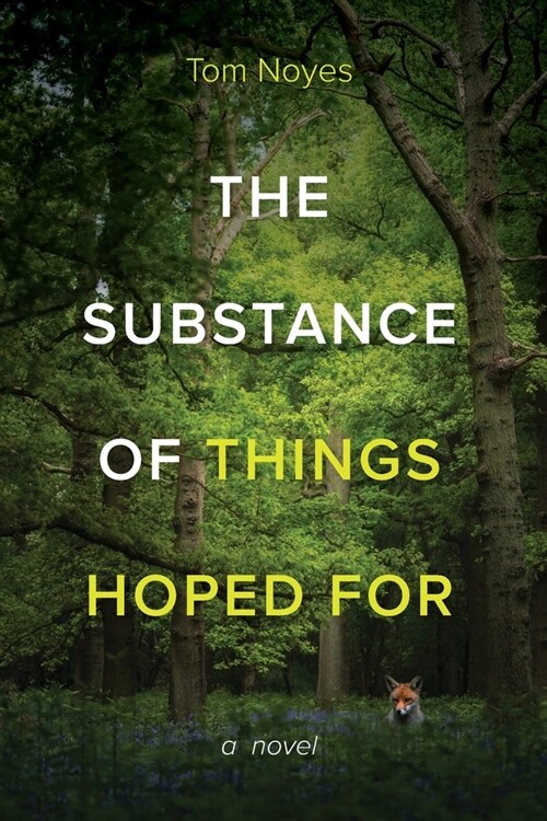 Substance of Things Hoped For (Paperback)